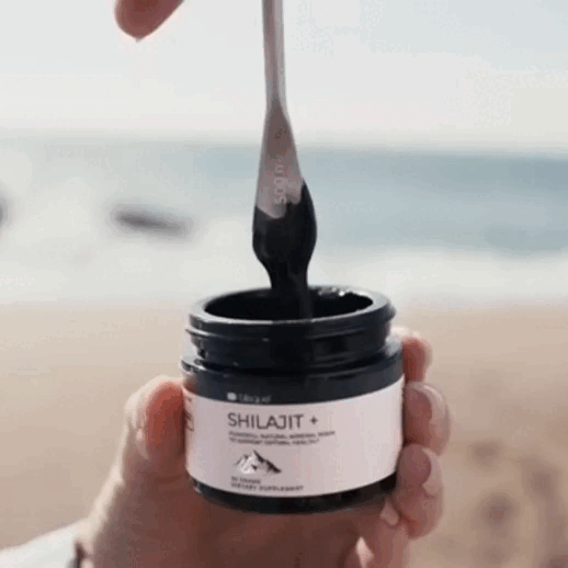 SHILAJIT - Brebajet del Himalaya  - A fuerza de la naturaleza que te ayuda en rendimiento